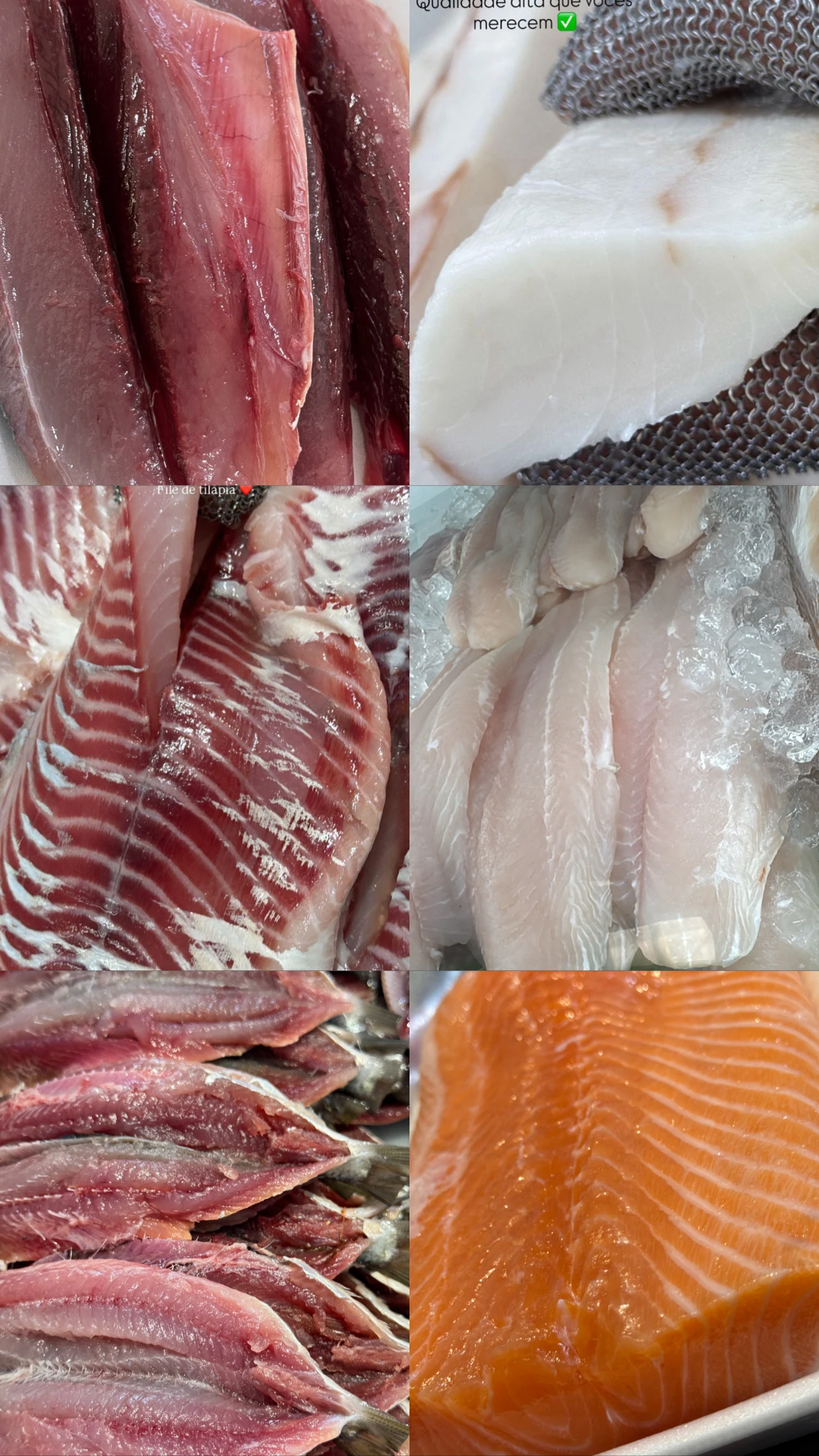 Categoria Filés - Pescados Oliveira