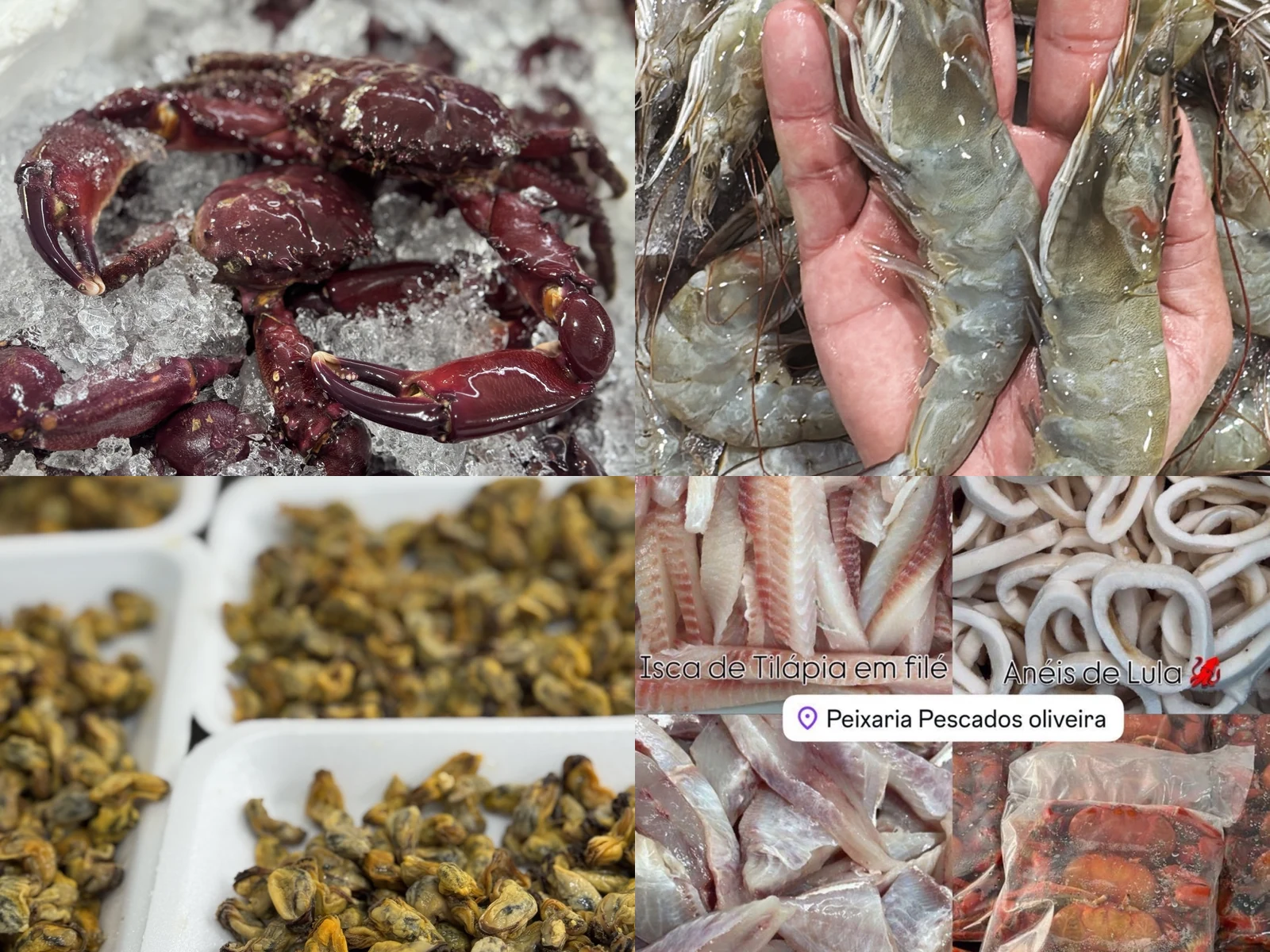 Categoria Frutos do Mar - Pescados Oliveira