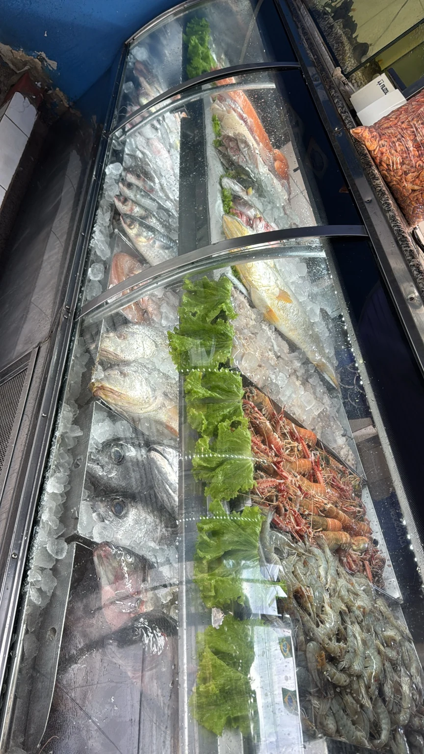 Peixes selecionados