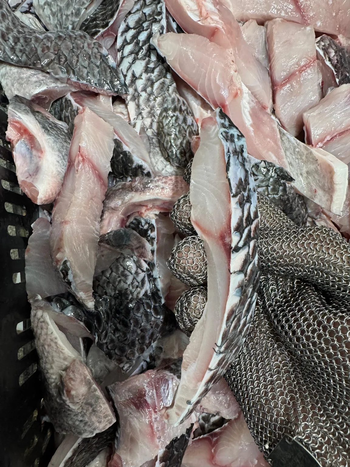 Profissional preparando e cortando peixe fresco na Pescados Oliveira